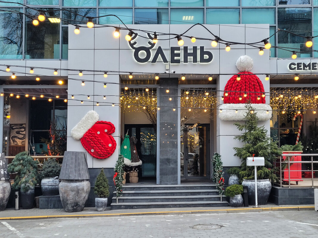 Пельмень-бар "Олень" переехал - Татьяна Машошина