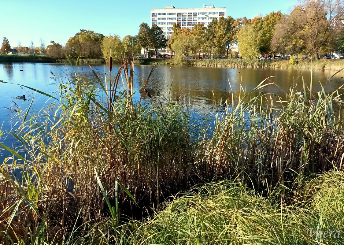 Октябрь - Veera V