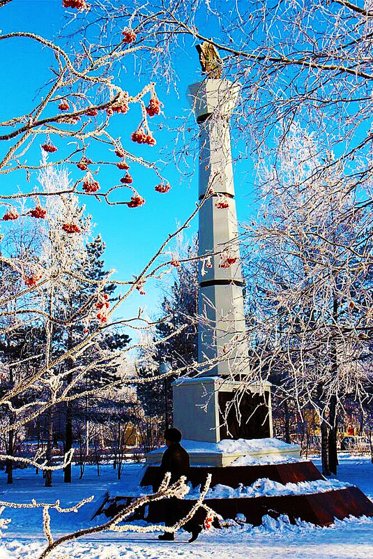 Мороз в сквере Победы.Рябина! - Владимир 
