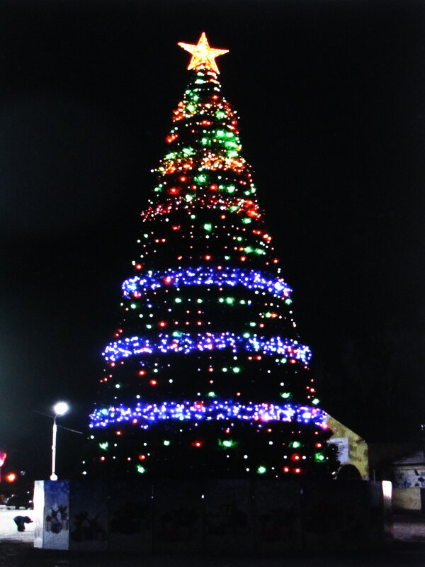 Новогодняя ёлка в моём городе - Людмила Смородинская