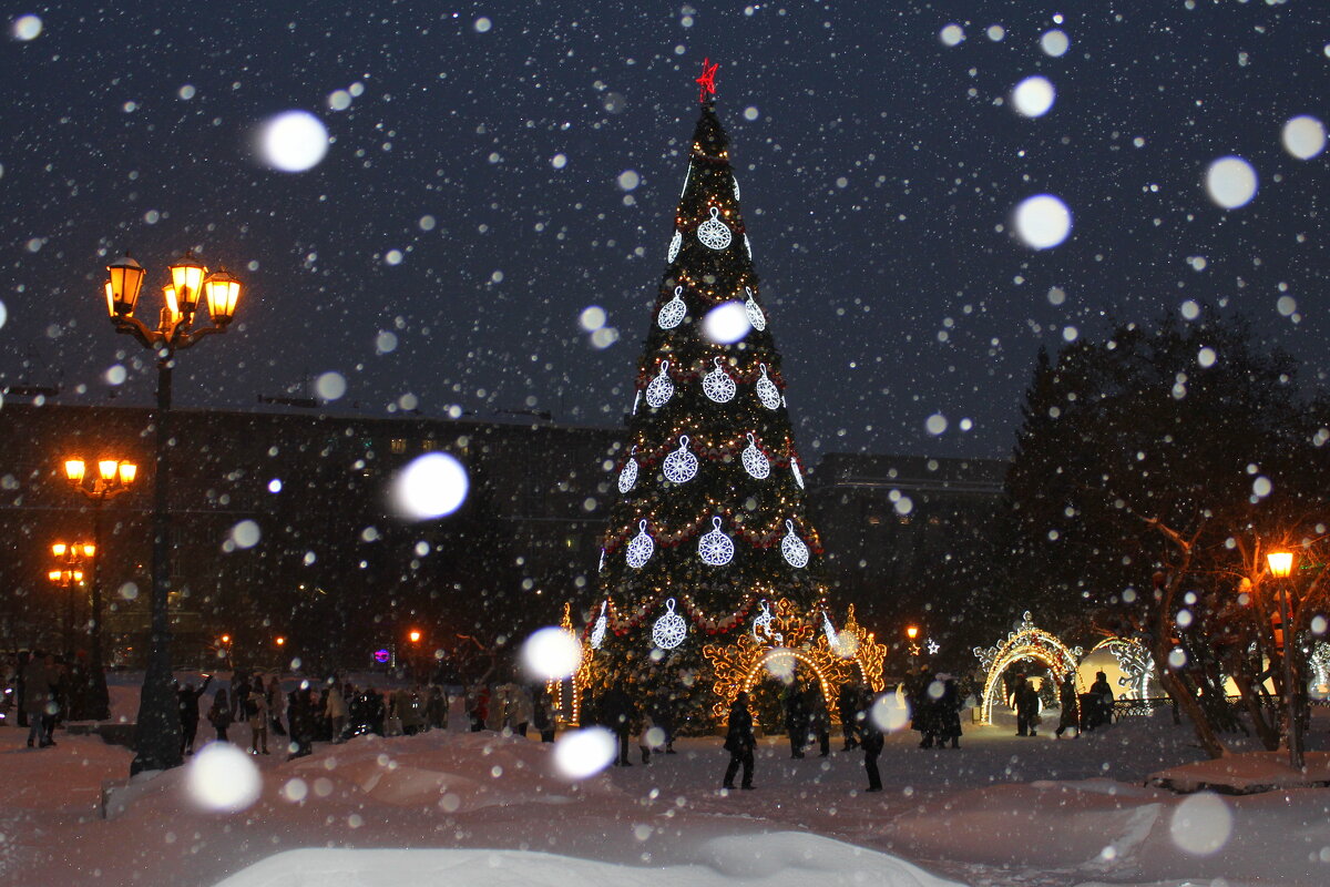 Главная Ёлка города. Снегопад - Татьяна Лютаева