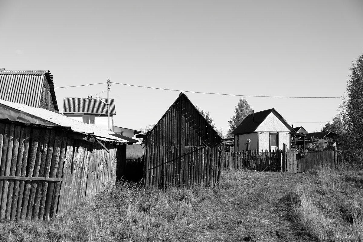 Фотография - Денис Безногов