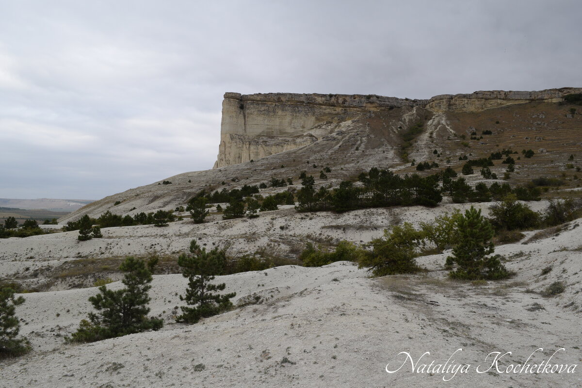 Природа Крыма - Amazing Cosmea