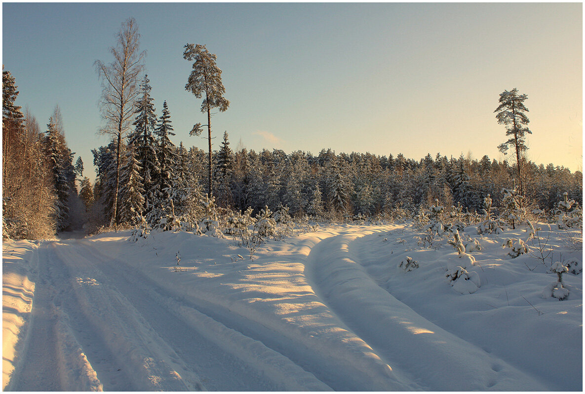 МОРОЗ И СОЛНЦЕ - Aleksandr Gal