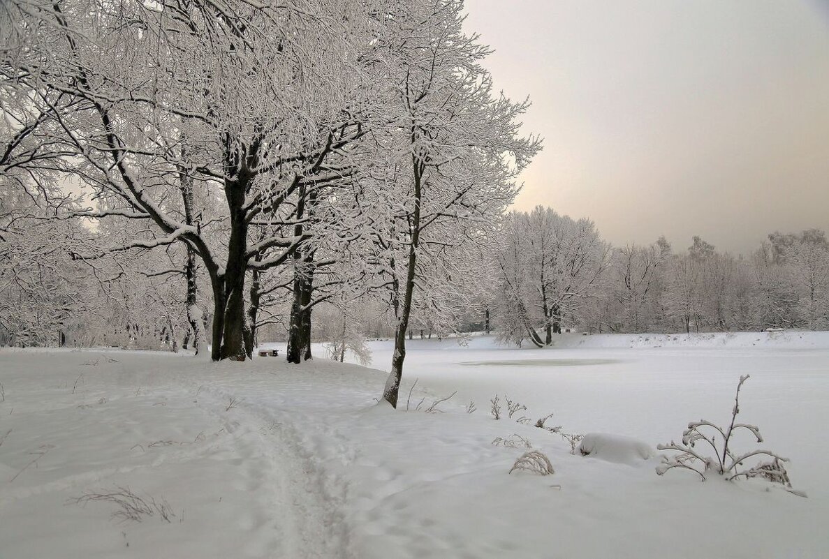 Скоро будет... - ZNatasha -