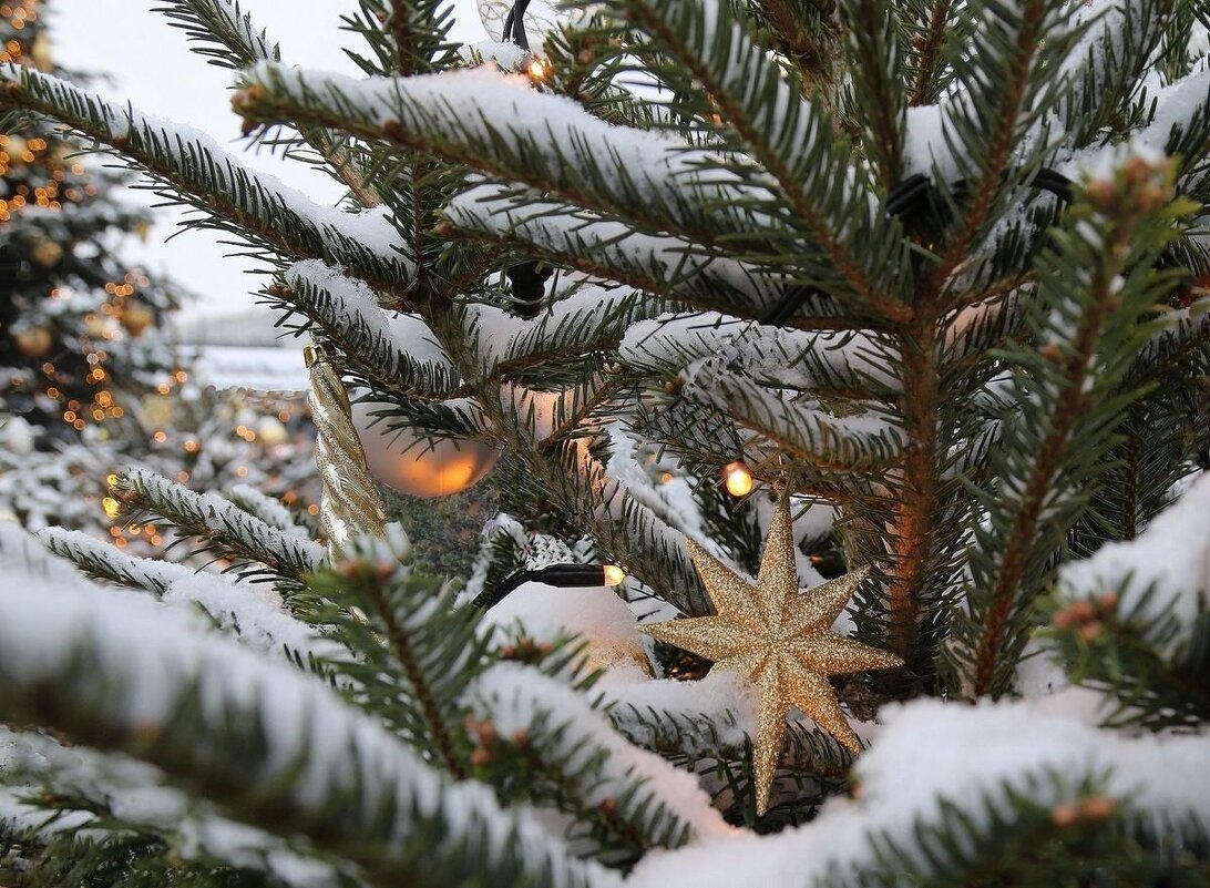 Скоро-скоро... - ZNatasha -