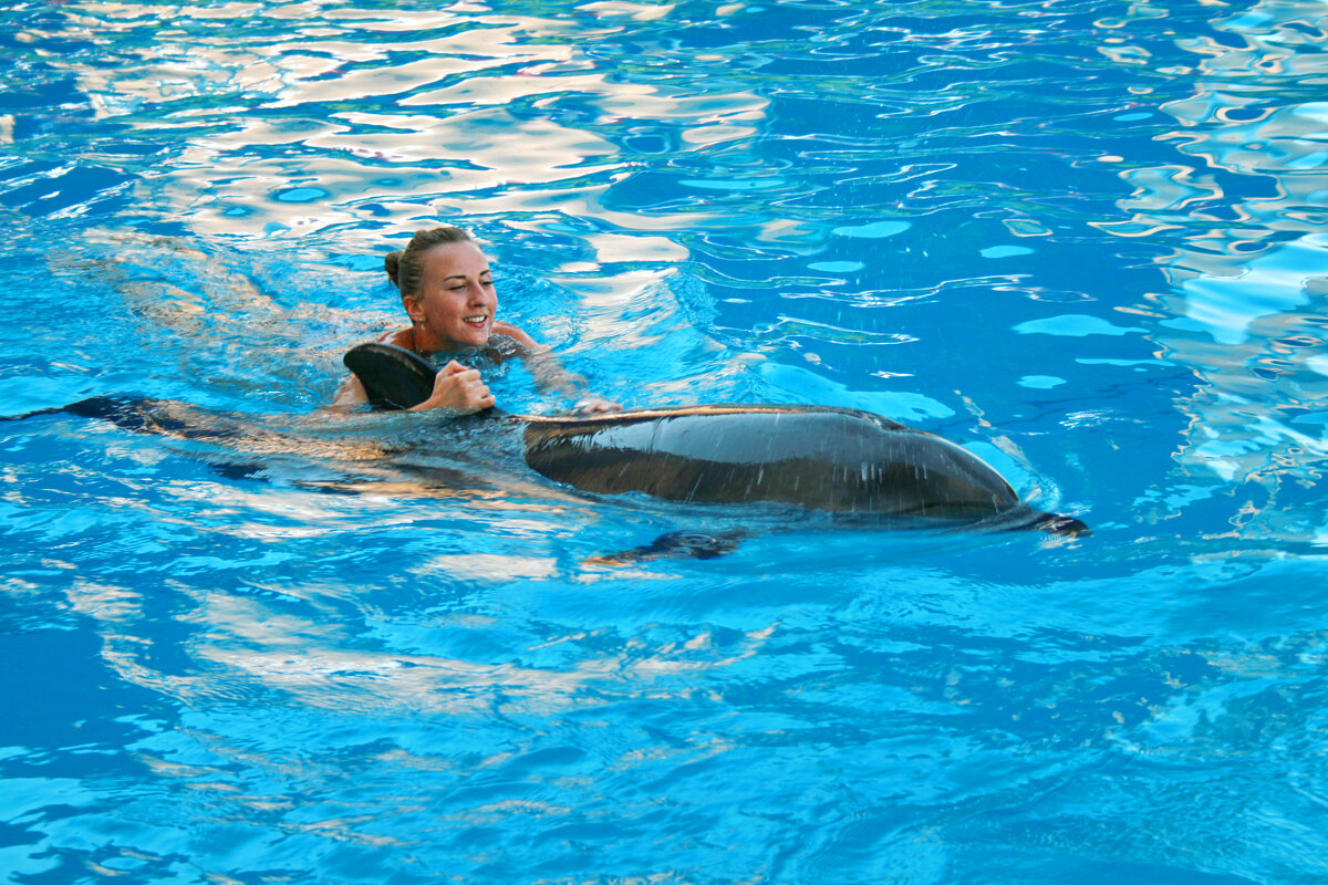 Покатушки на дельфине - Геннадий Валеев