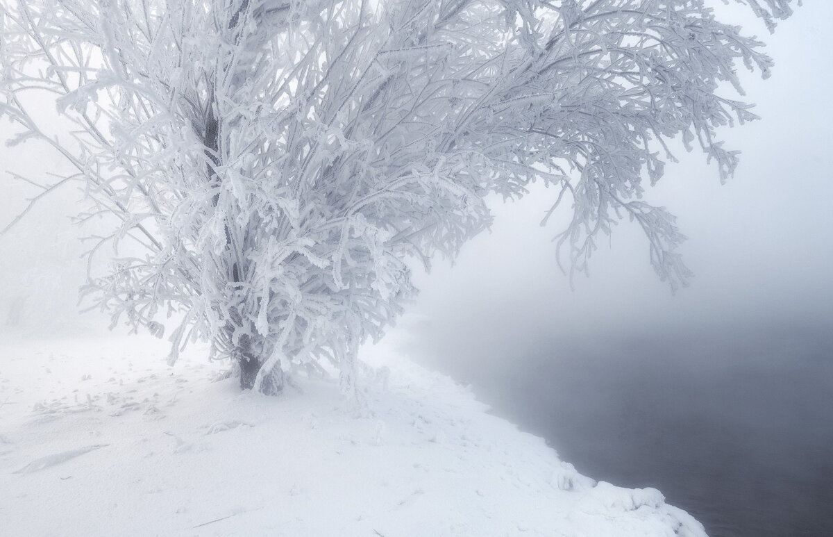 В морозном тумане - Марина Фомина.