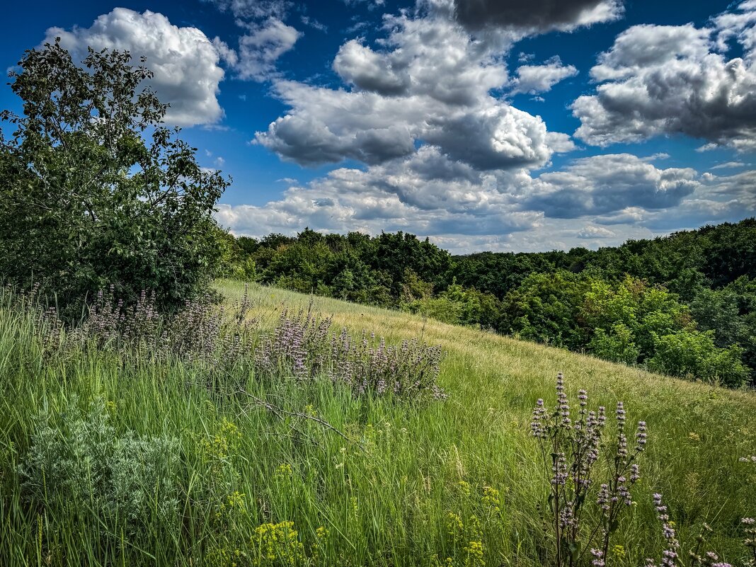 *** - Яна Горбунова