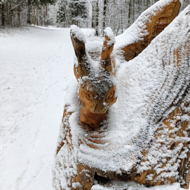замел снежок зайчика - Владимир замел снежок зайчика - Владимир