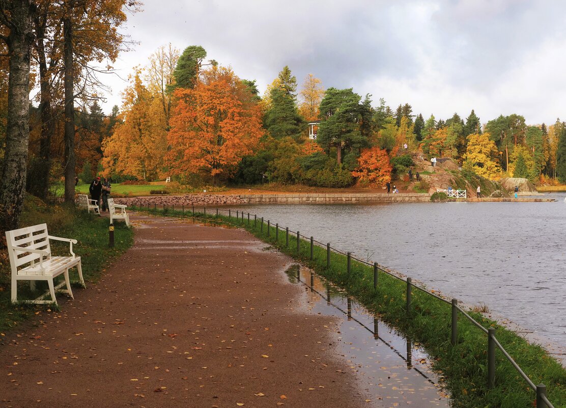 Монрепо осенью - Магомед .
