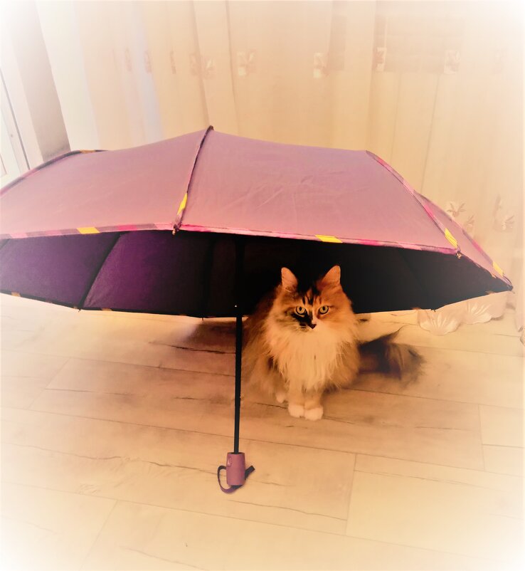 В домике - Nora Nowhere