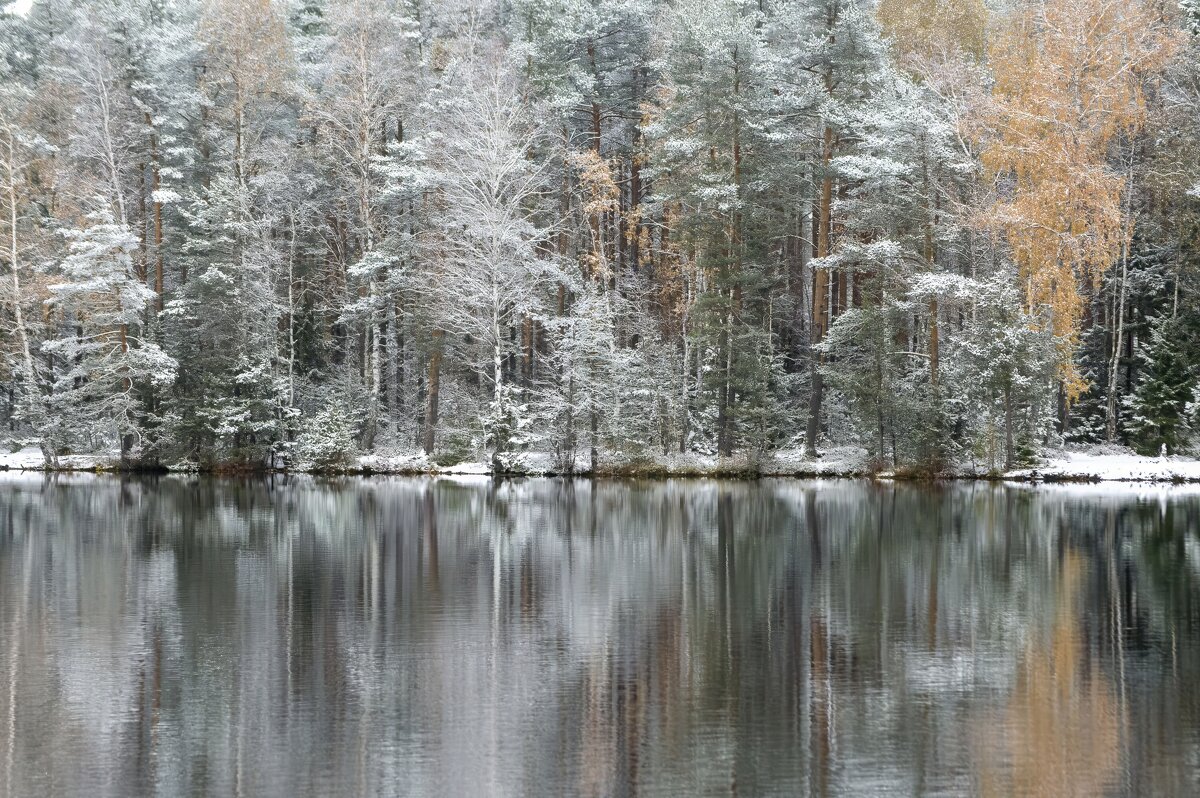 Заснежило.............. - Юрий Цыплятников