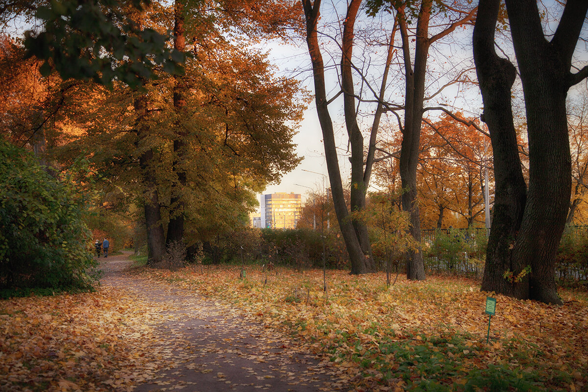 Осень в ботаническом саду. - Лилия *
