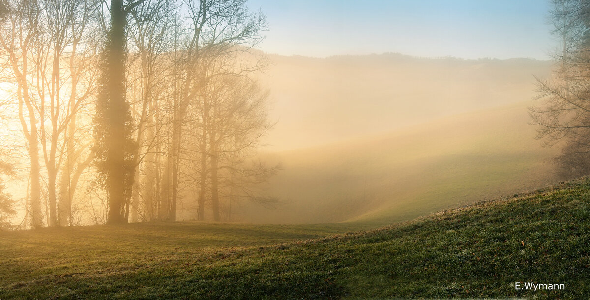 misty winter morning - Elena Wymann