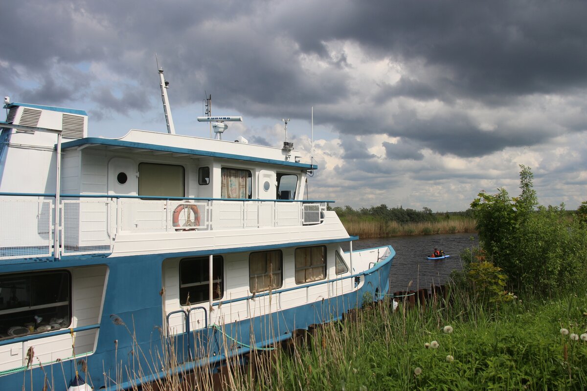 Лето 2025. Июнь - Наталья Герасимова