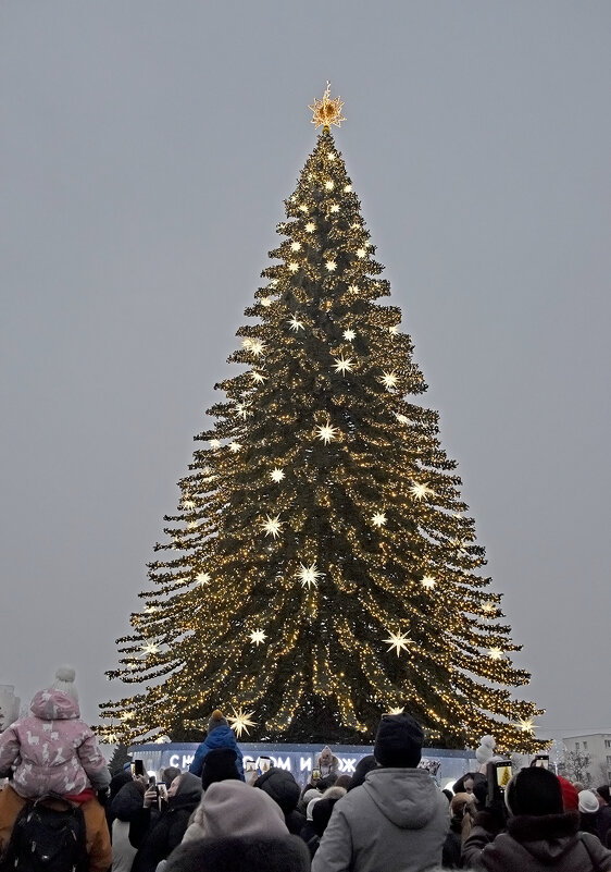 Главная  новогодняя ёлка города. - Валентина  Нефёдова 