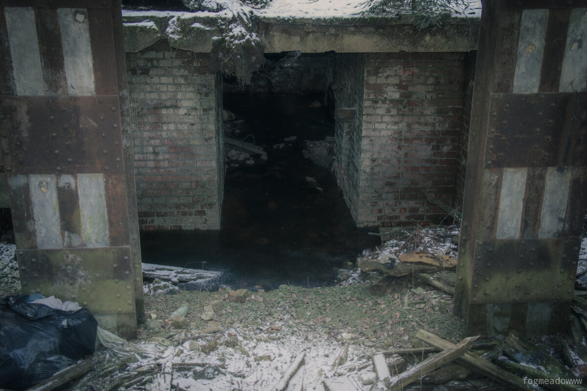 без названия - fogmeadowww m