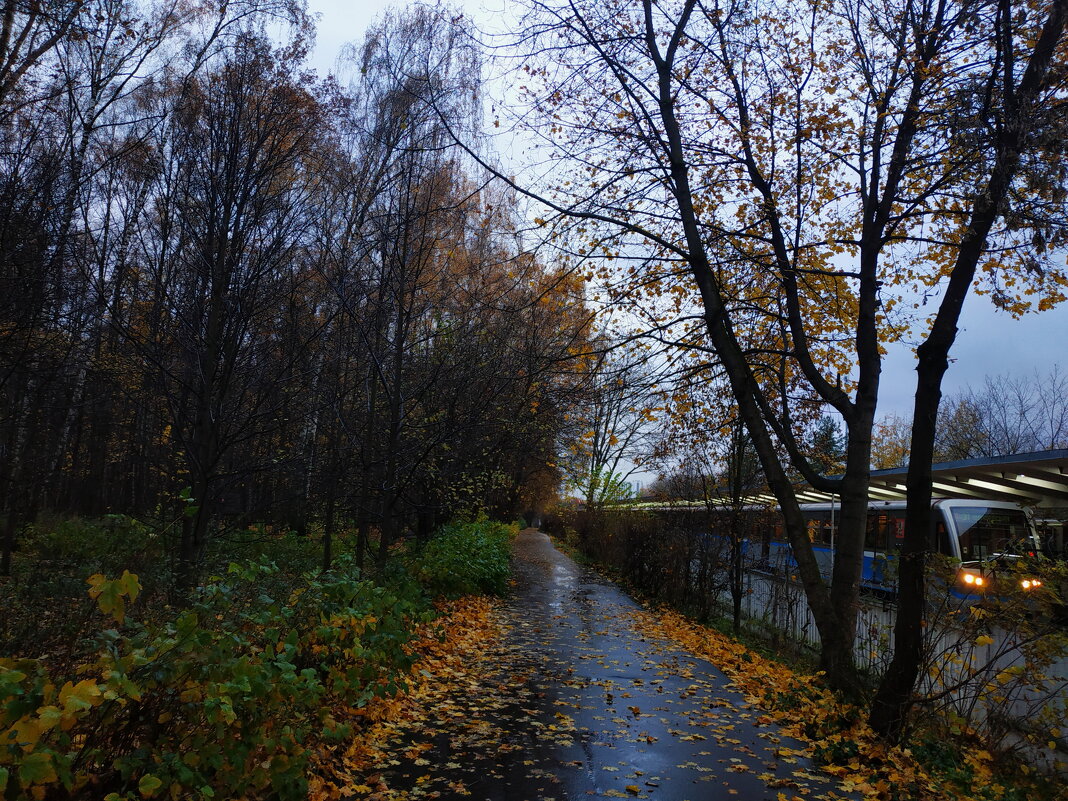 И снова воспоминания - Андрей Лукьянов