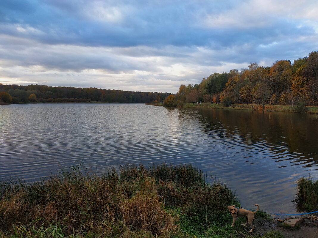 И снова воспоминания - Андрей Лукьянов