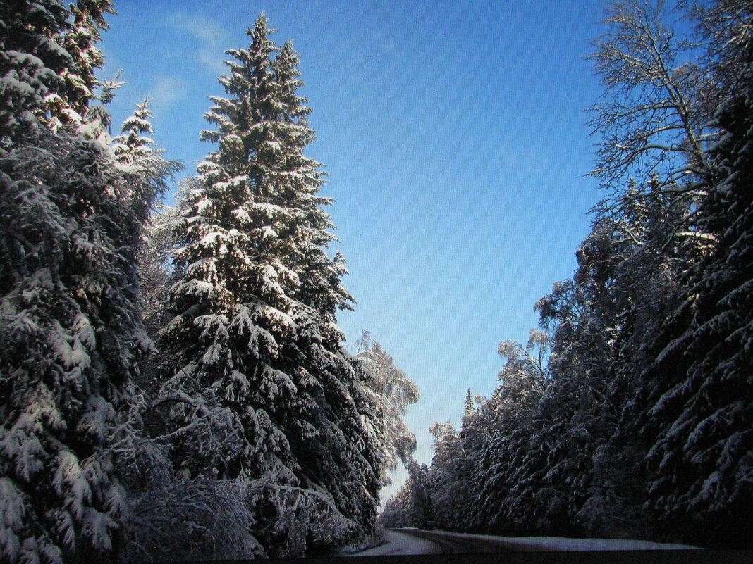 По зимней дороге - Людмила Смородинская