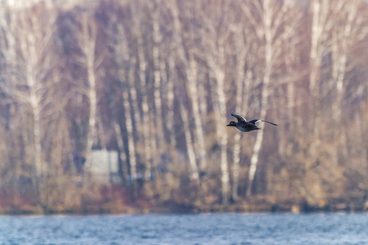 турпан - юрий макаров