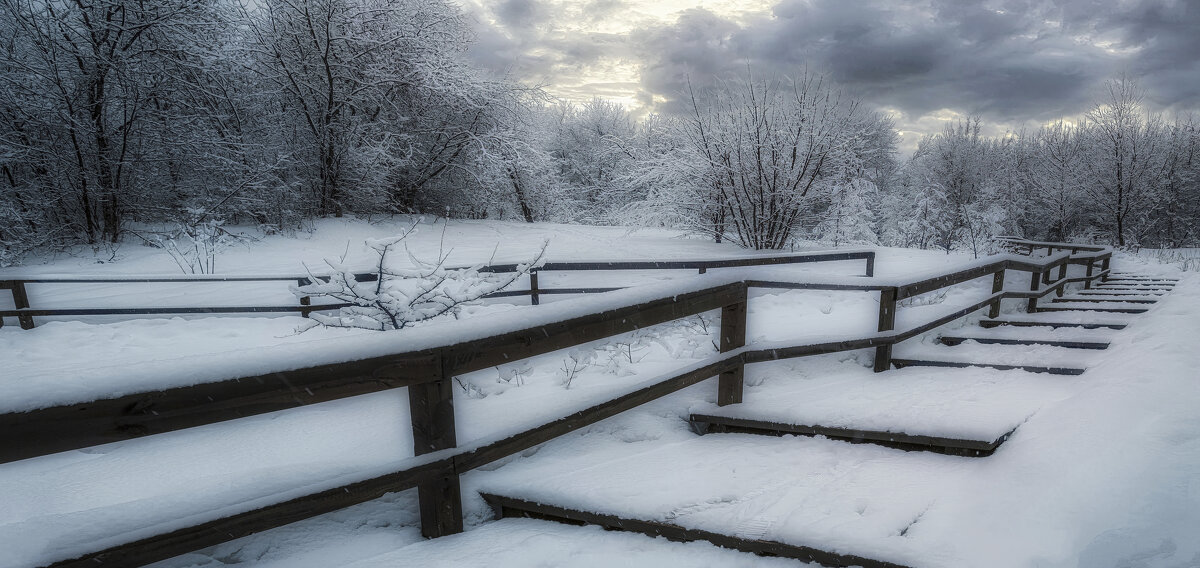 Дорожки. - Владимир Владимир