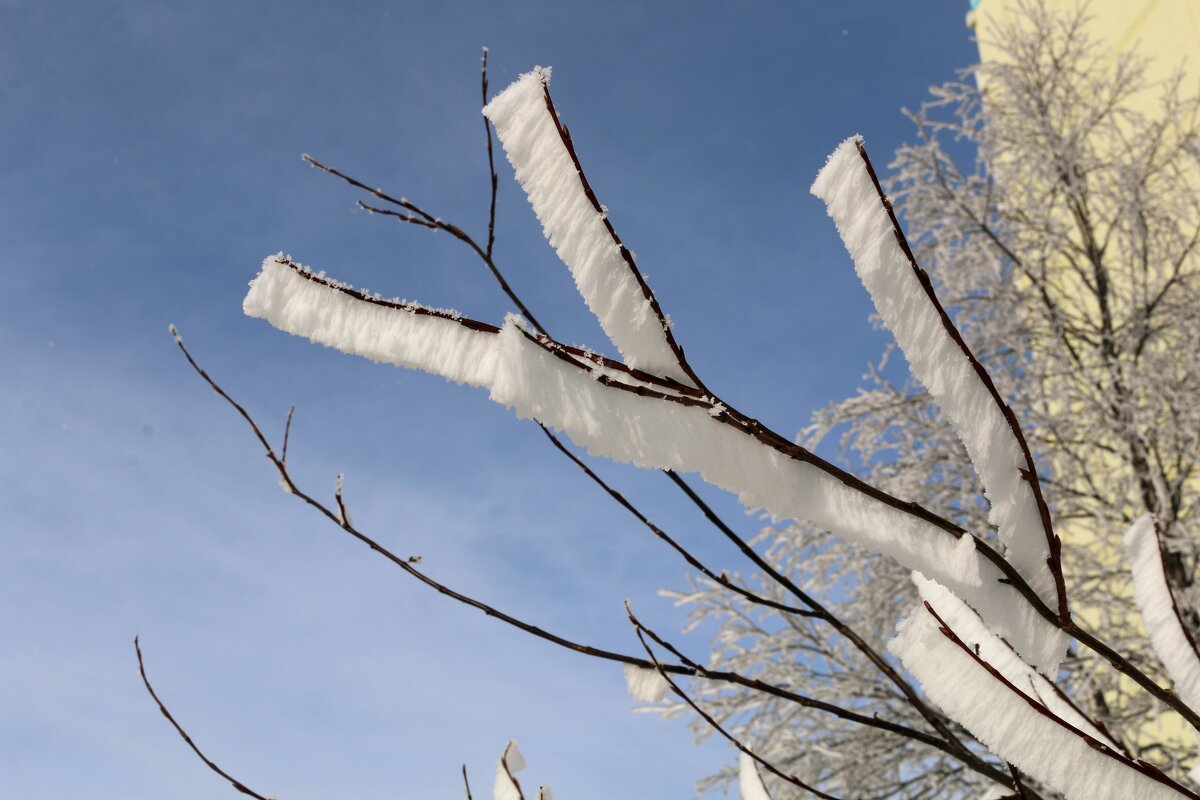 Кружева инея - Ольга 