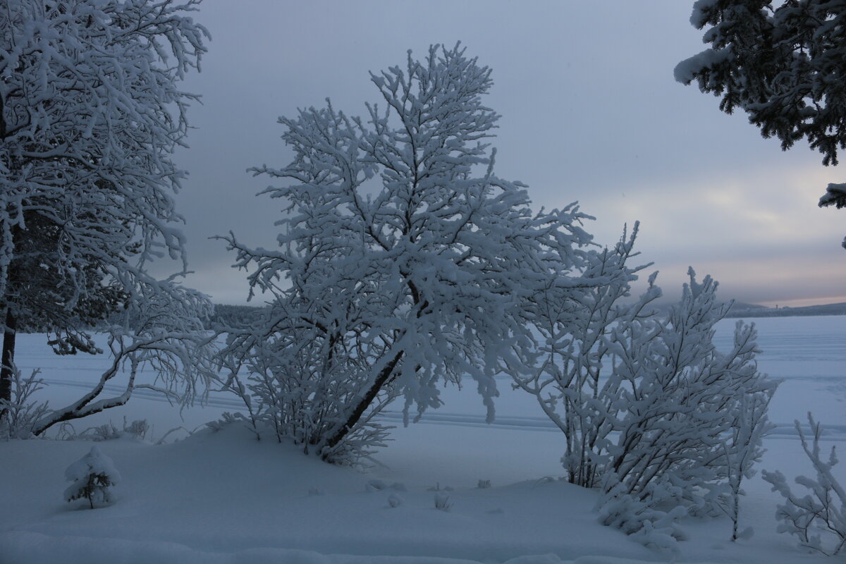 Зимушка - Ольга 