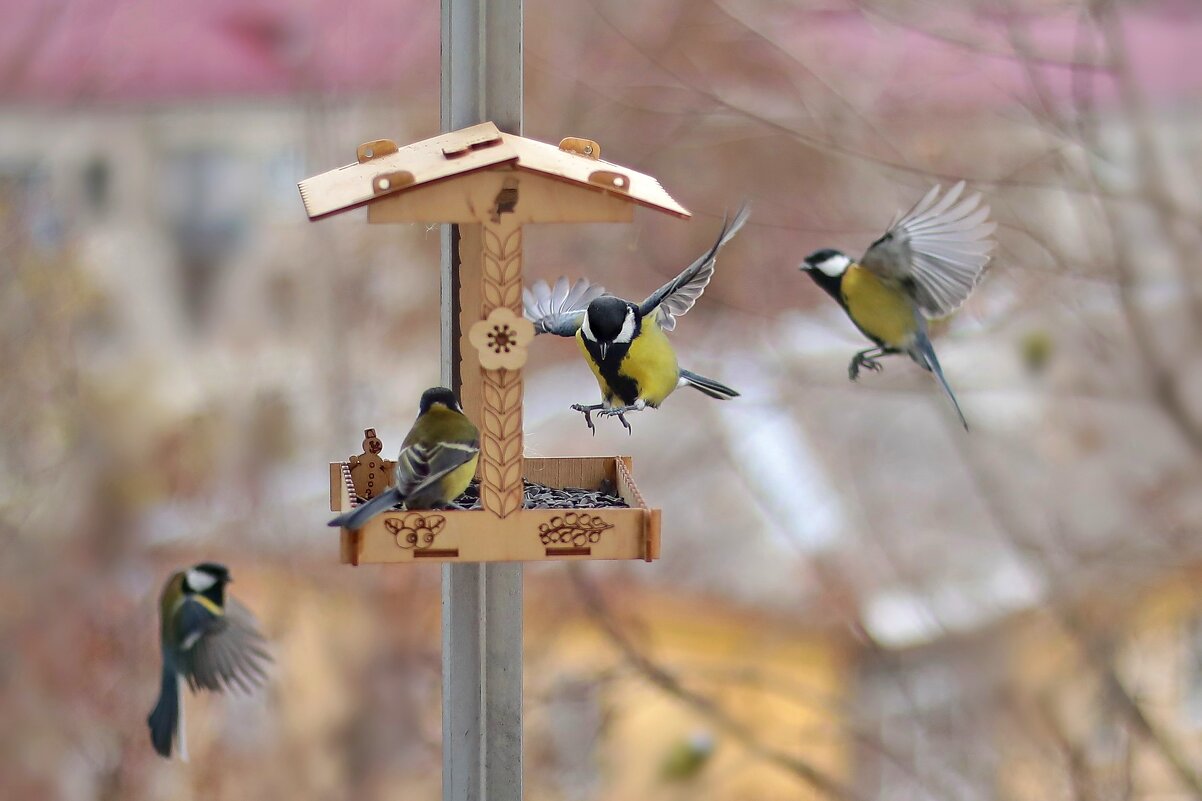 Налетай. - Татьяна Бравая Налетай. - Татьяна Бравая