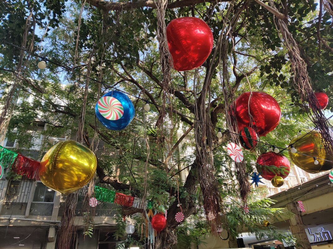 " - Светлана Хращевская