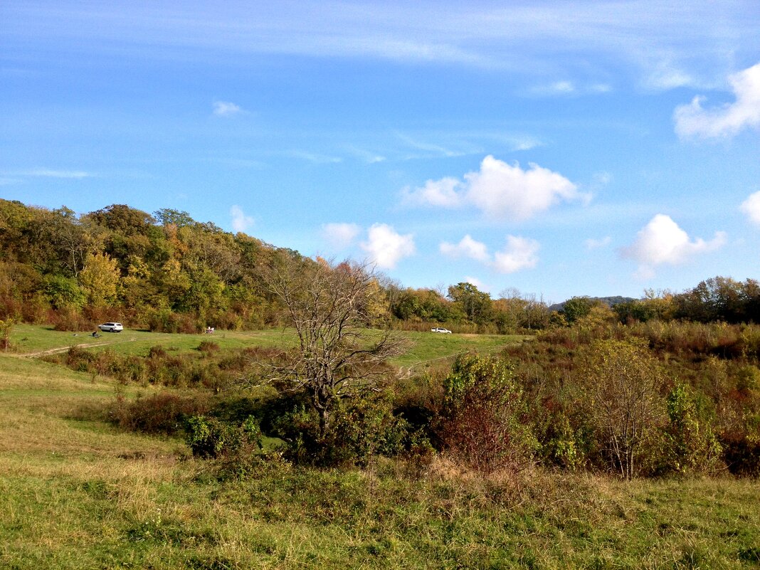 Поляна по дороге на Орлиные скалы - Tata Wolf