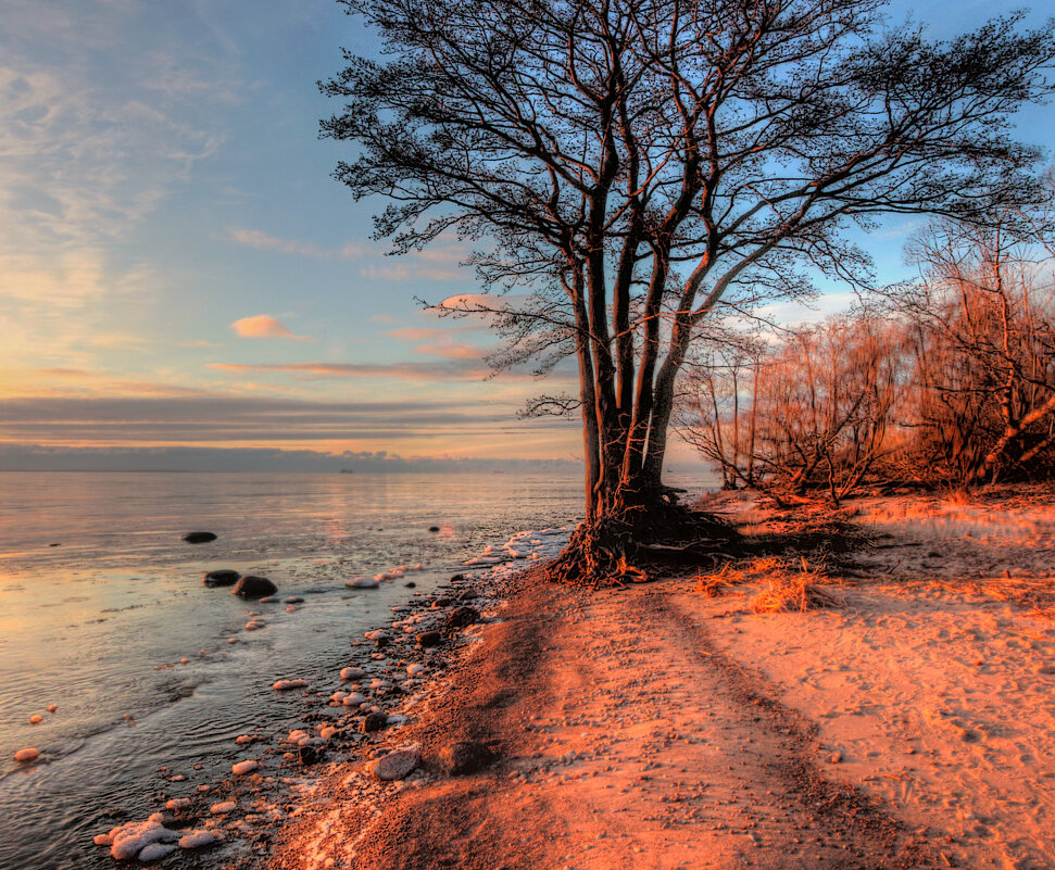 *** - Сергей Григорьев