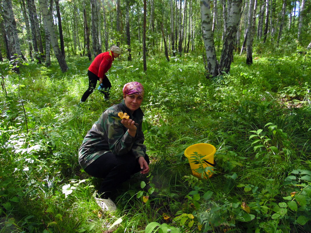 Грибная пора. - nadyasilyuk Вознюк