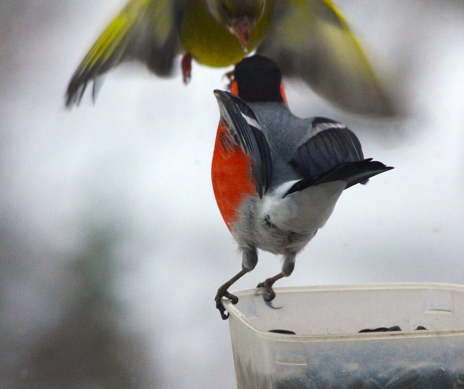 ... - Юрий Куликов