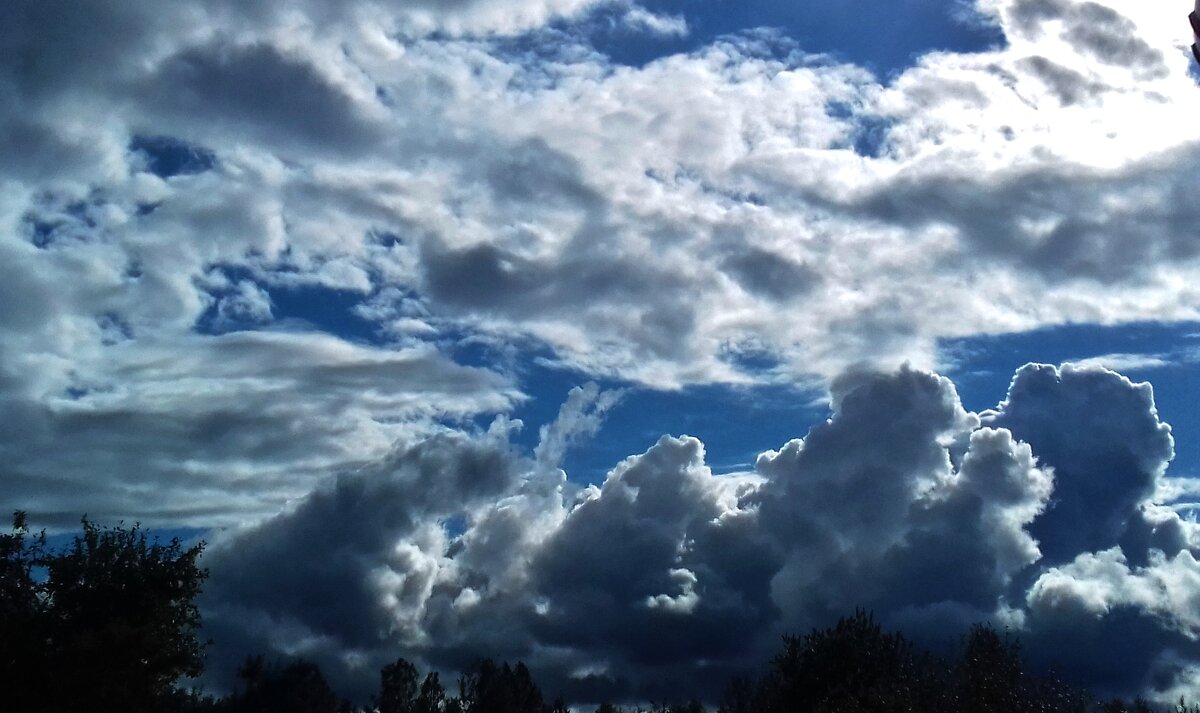 семейка - Владимир 