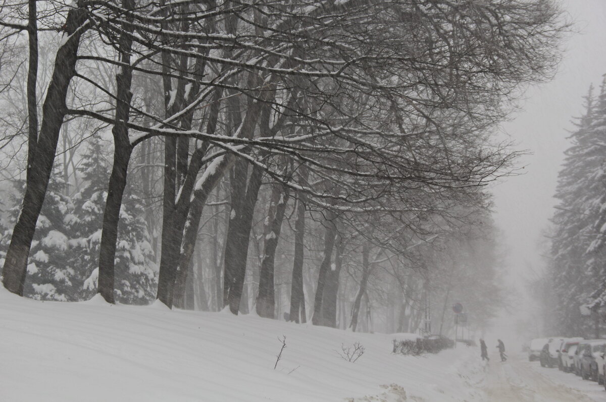 ...вот бы сейчас так!... - Александр Герасенков