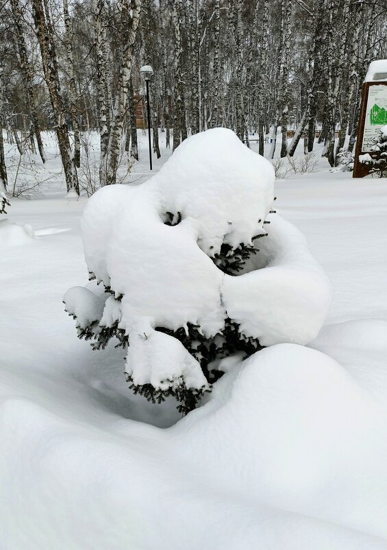 Поклон вам  ! - Мила Бовкун