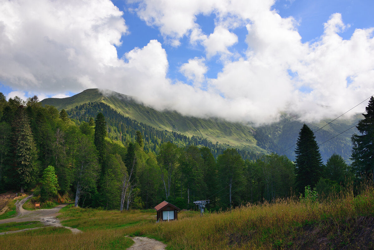 ** - Александр Хаецкий