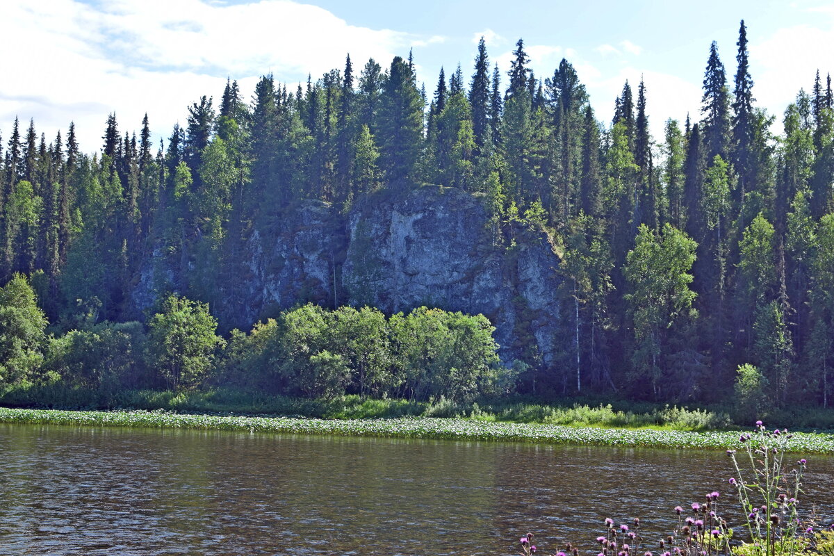 Морда спящего льва. - ВикТор Быстров