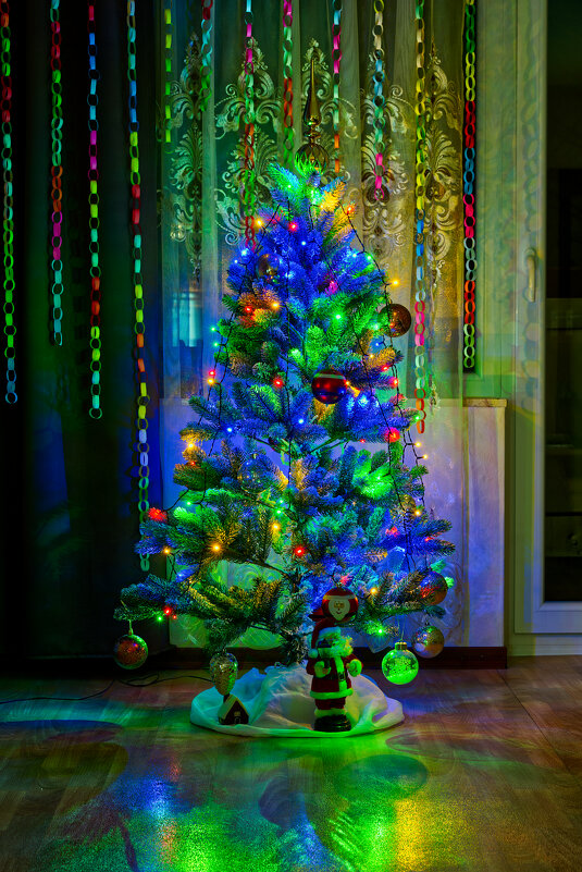 (°-°) - Jakob Dick