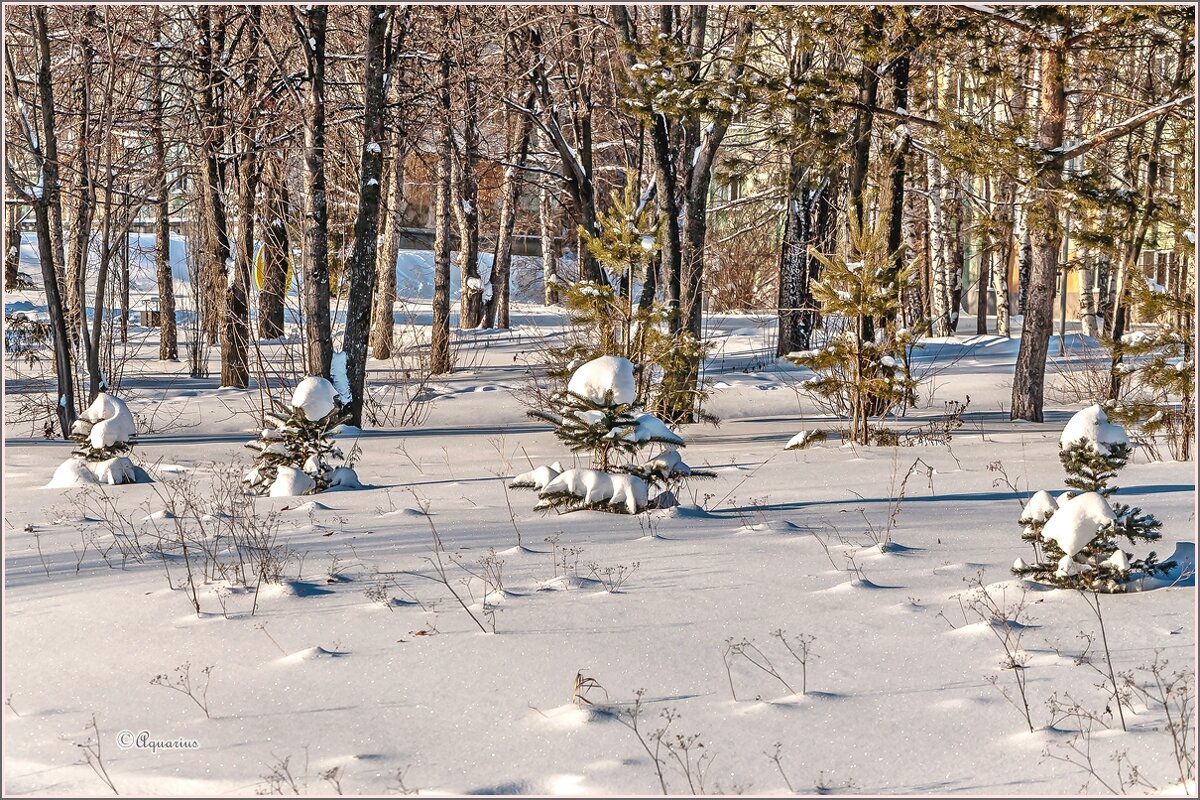 Зимним днём ... - Aquarius - Сергей