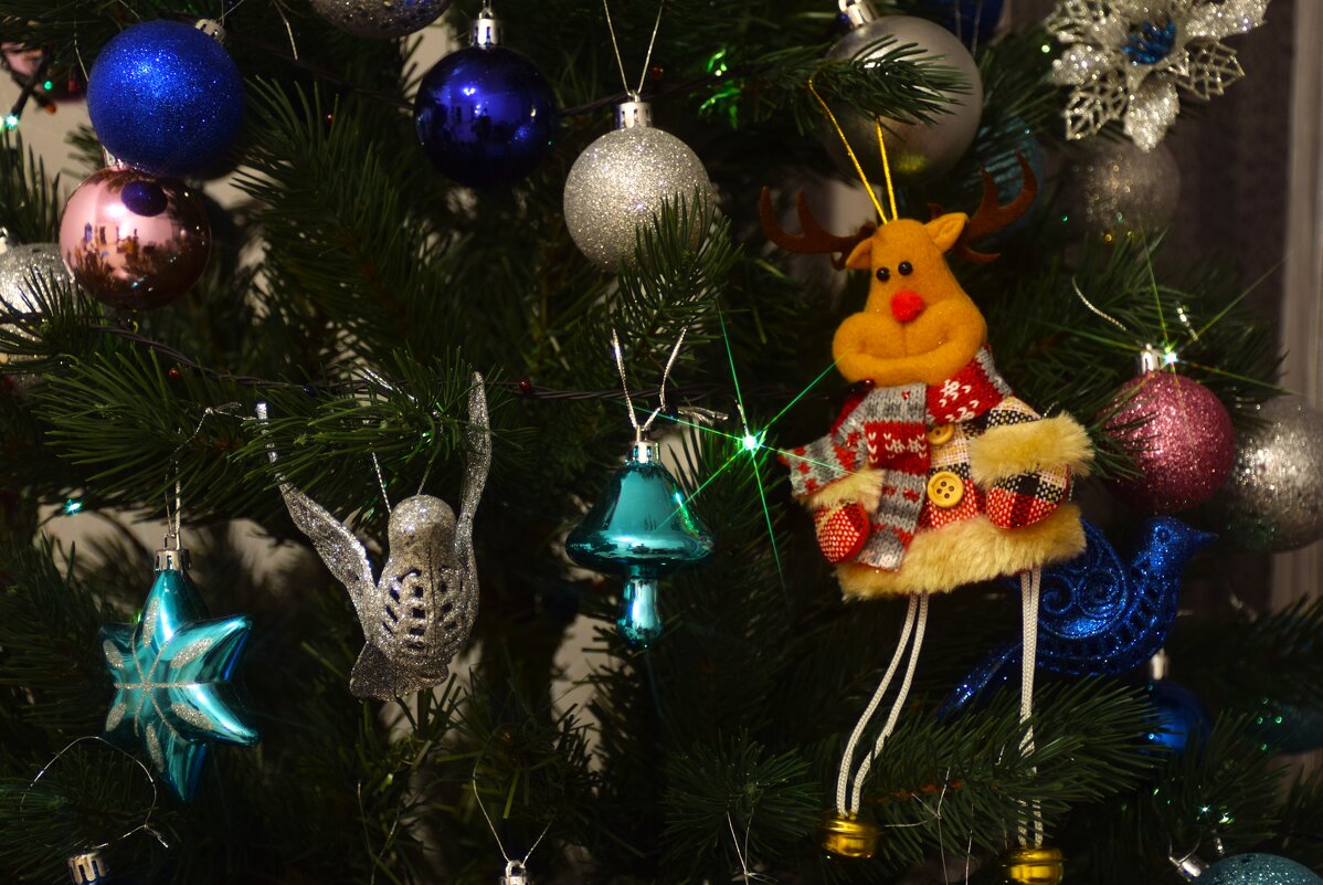 Олень, ну новогодний! - Юрий Полторыхин.