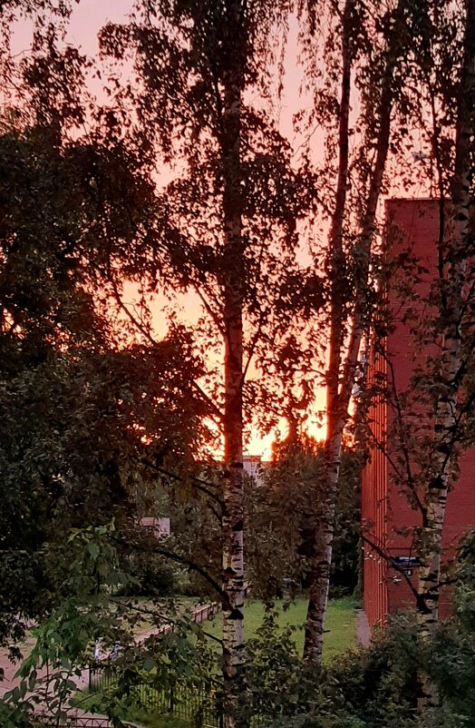 Лето 2025. Июль - Наталья Герасимова