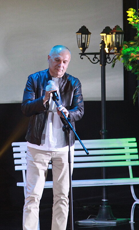 Владимир Литвинов - Сергей Панасюк