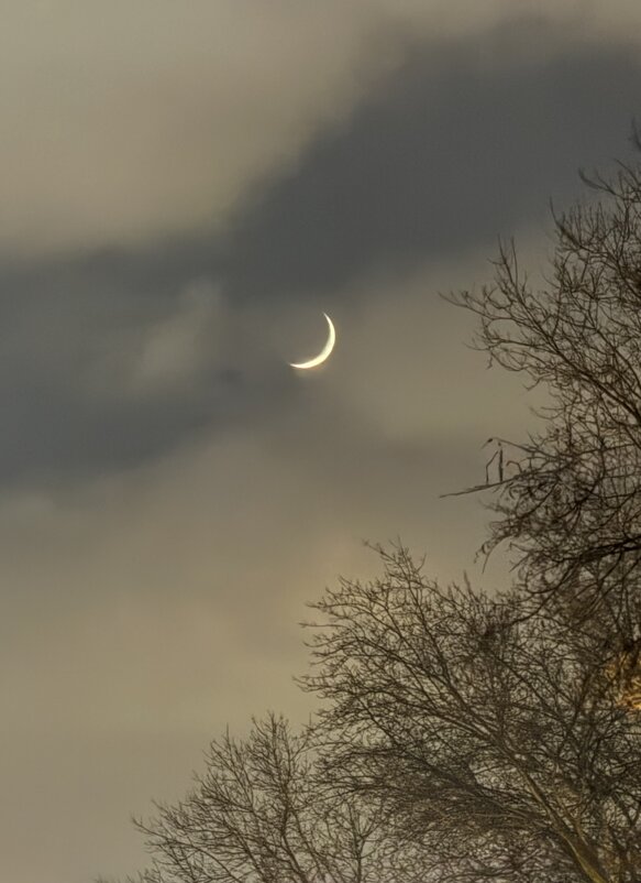 Зимняя ночь - Анна Камс