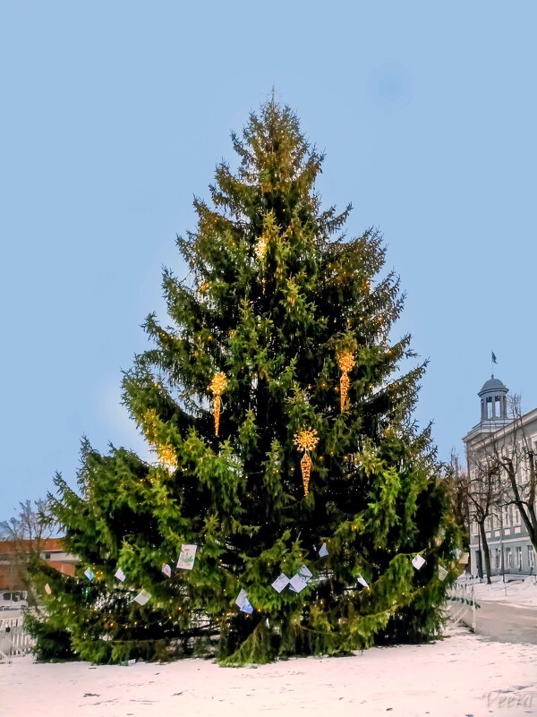 Главная елка нашего городка - Veera V Главная елка нашего городка - Veera V