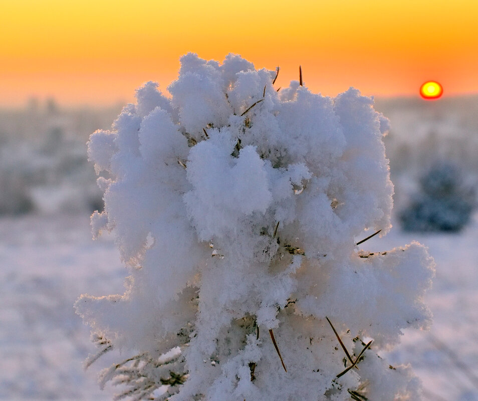 Иней. - Владимир Мигонькин