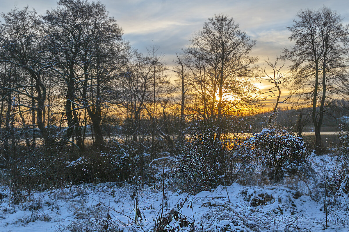 Новый день - Сергей Цветков