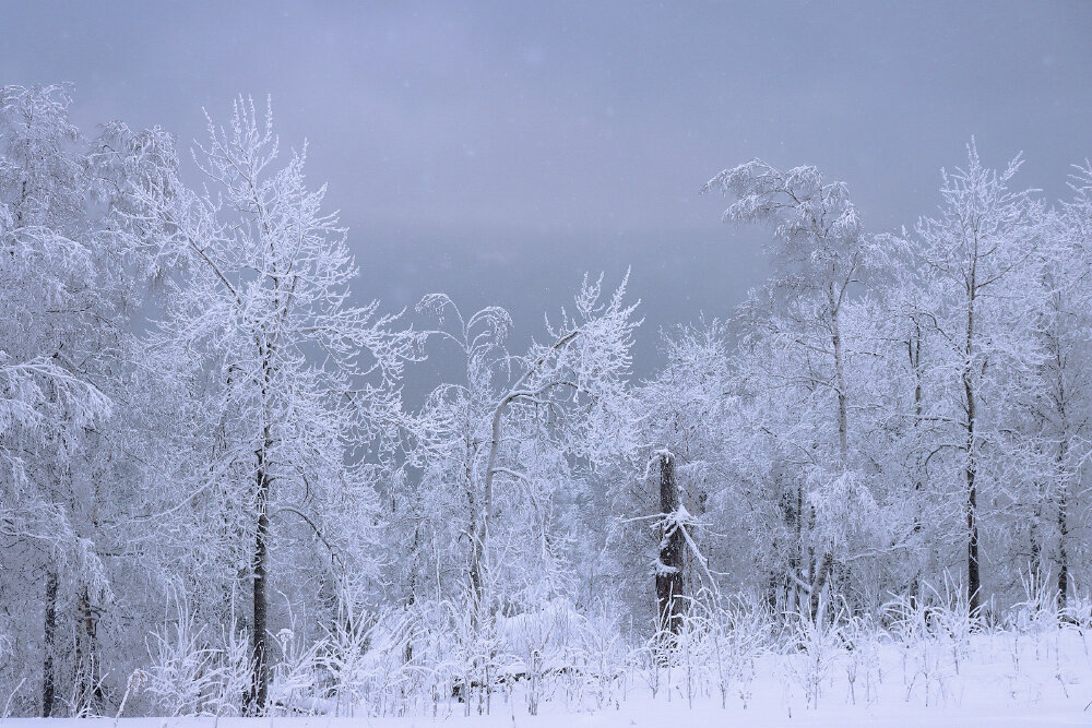 А снег идёт... - Галина Ильясова